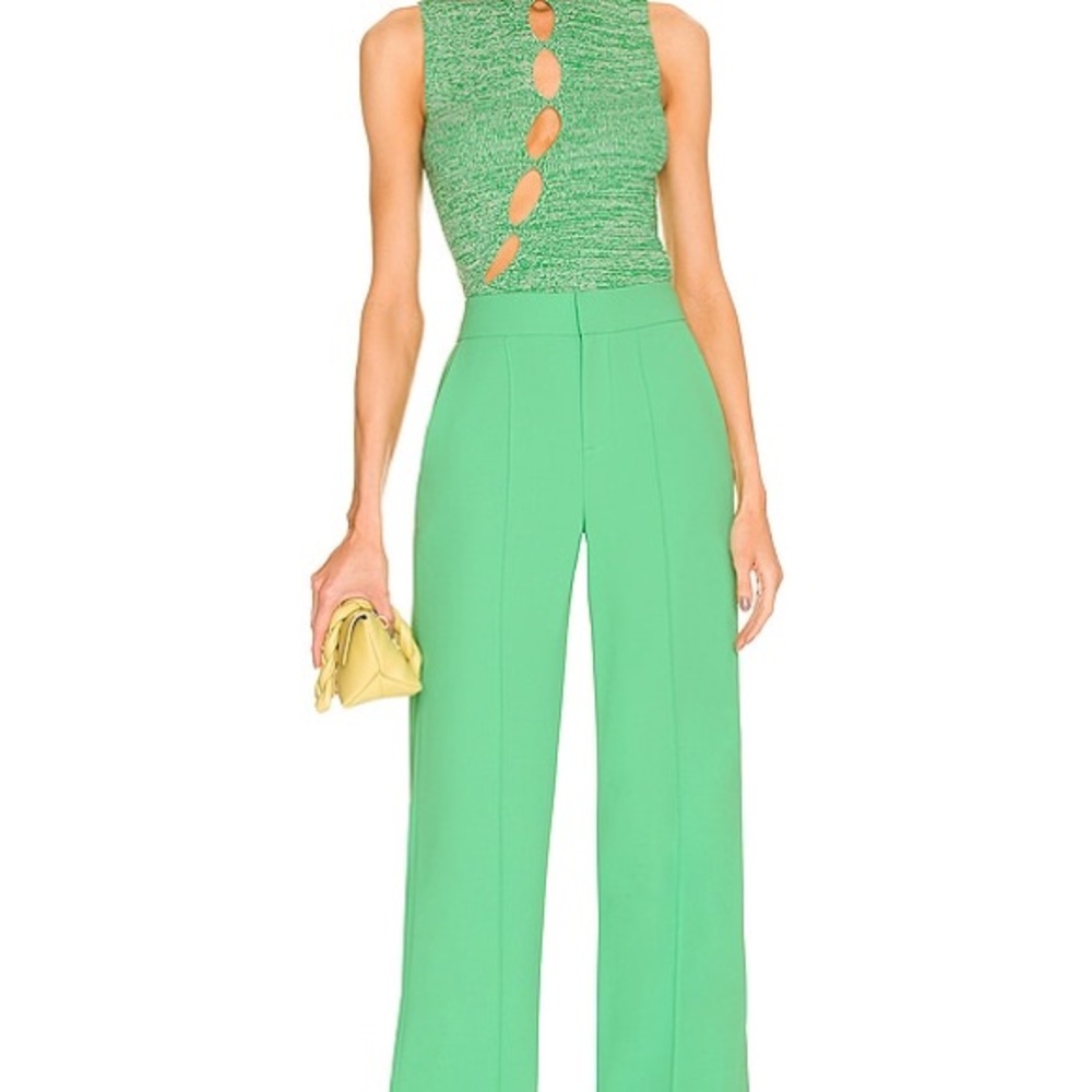 Dylan Wide Leg Pant EUC Alice + Olivia